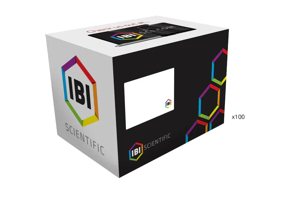 Bacteria Lysis Kit