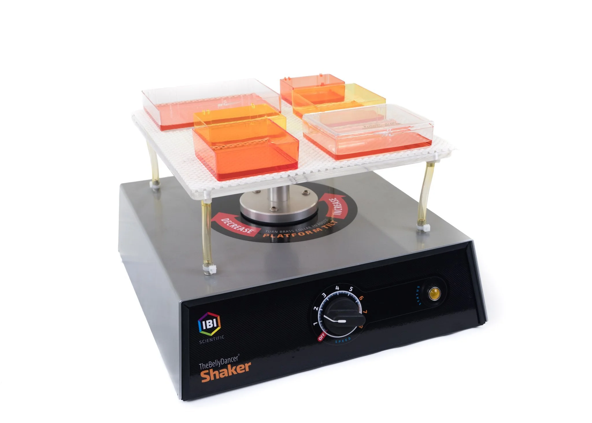Belly Dancer Orbital Shaker - Start Up Kit - Image 13