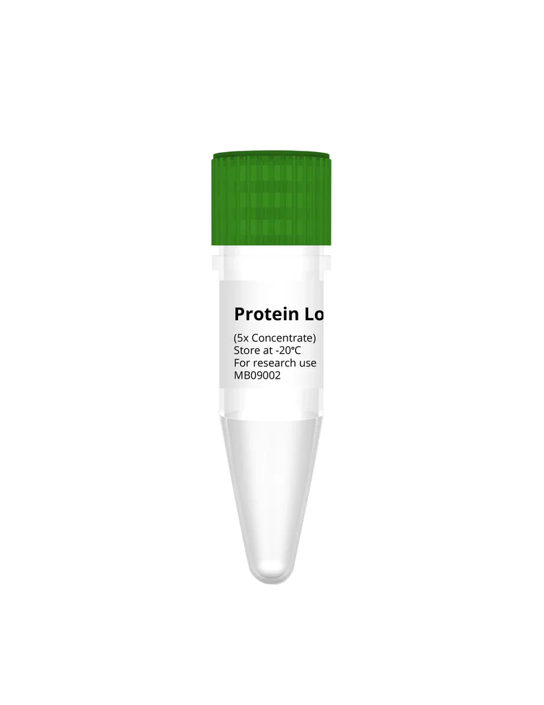 DNA/RNA/Protein Extraction Kit - Image 13