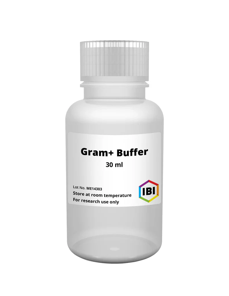 gBAC Mini Genomic DNA Kit - Image 14