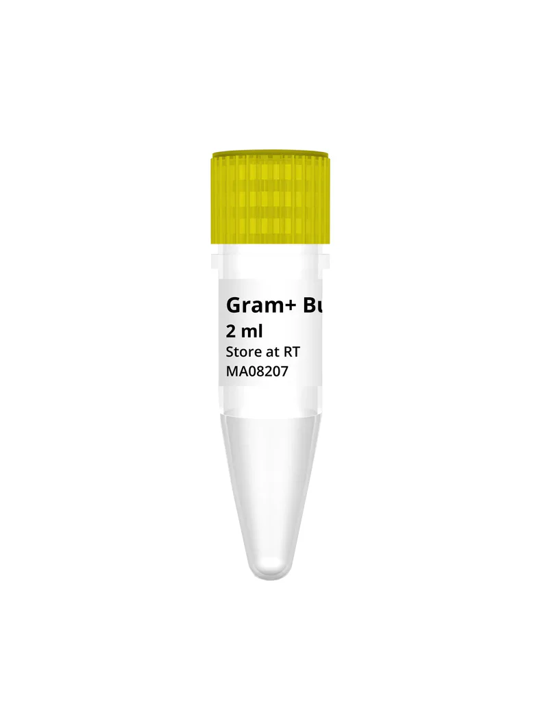gBAC Mini Genomic DNA Kit - Image 7