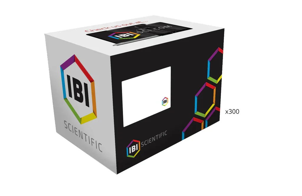 gYEAST Mini Genomic DNA Kit - Image 3