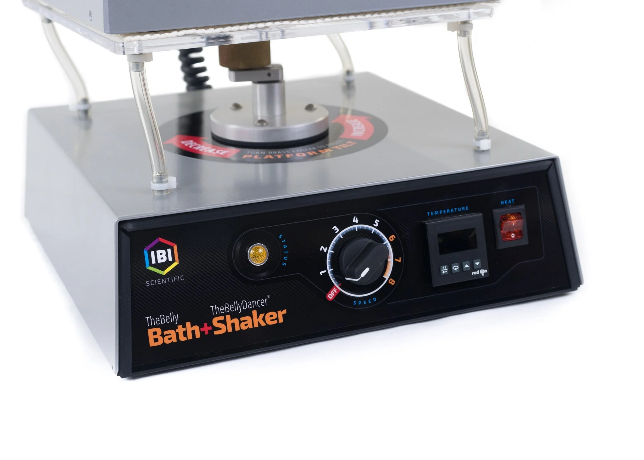 The Belly Bath - Image 5